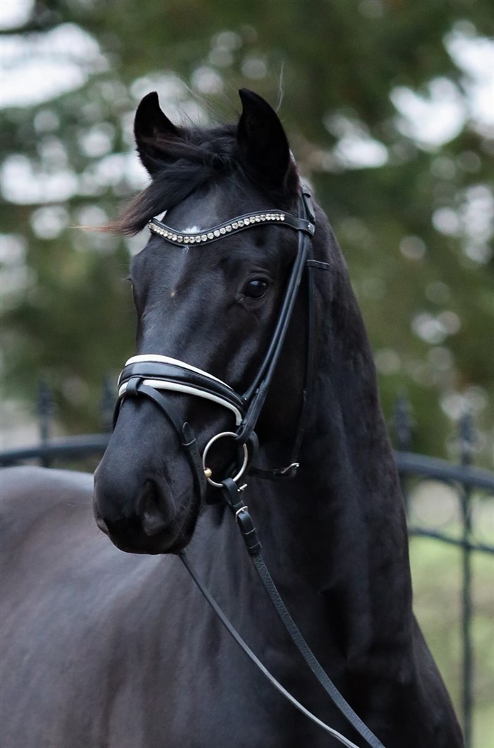 Klik på billedet for video af hans mor og søskende.