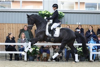 Klik på billedet for video fra vores åbne hus hos HPhorses.