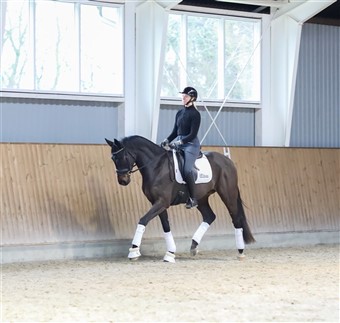 HP Truffle super smuk og elegant.
Klik på billedet for video.